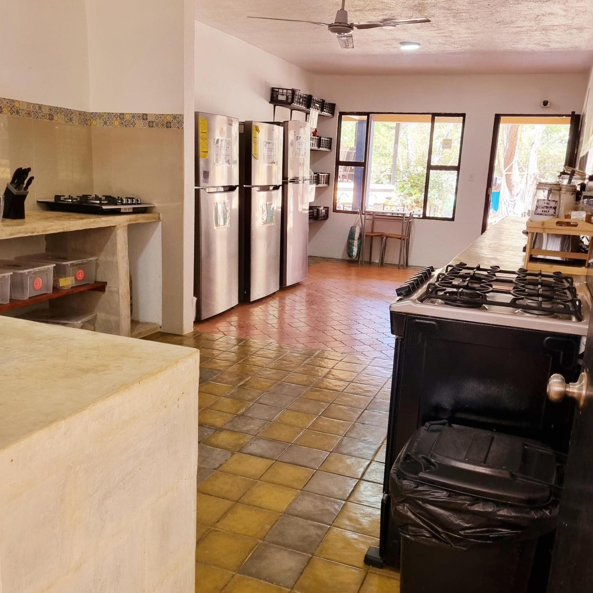 Casa Pura Vida Surf Hostel - Tamarindo Costa Rica エクステリア 写真