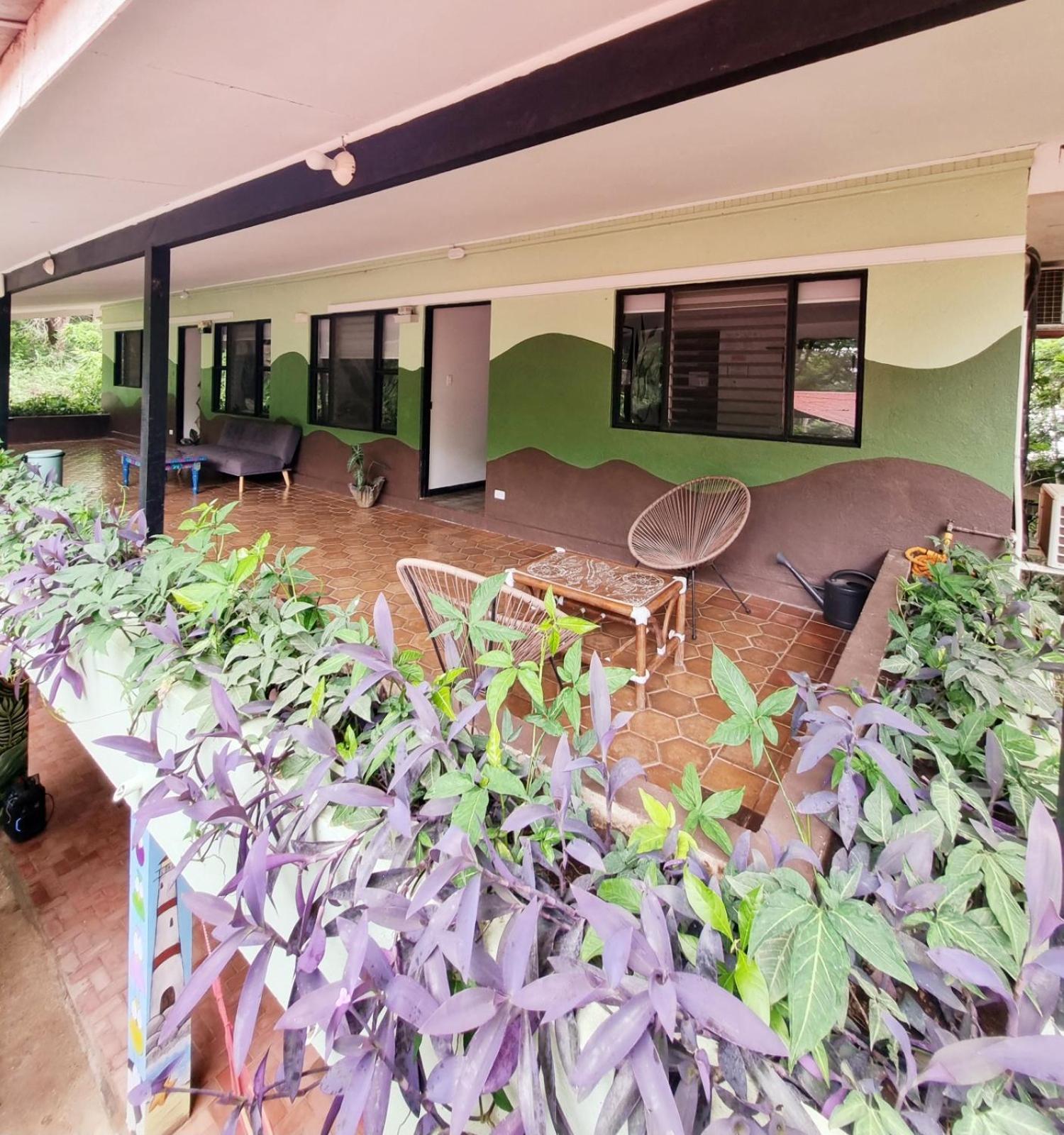 Casa Pura Vida Surf Hostel - Tamarindo Costa Rica エクステリア 写真