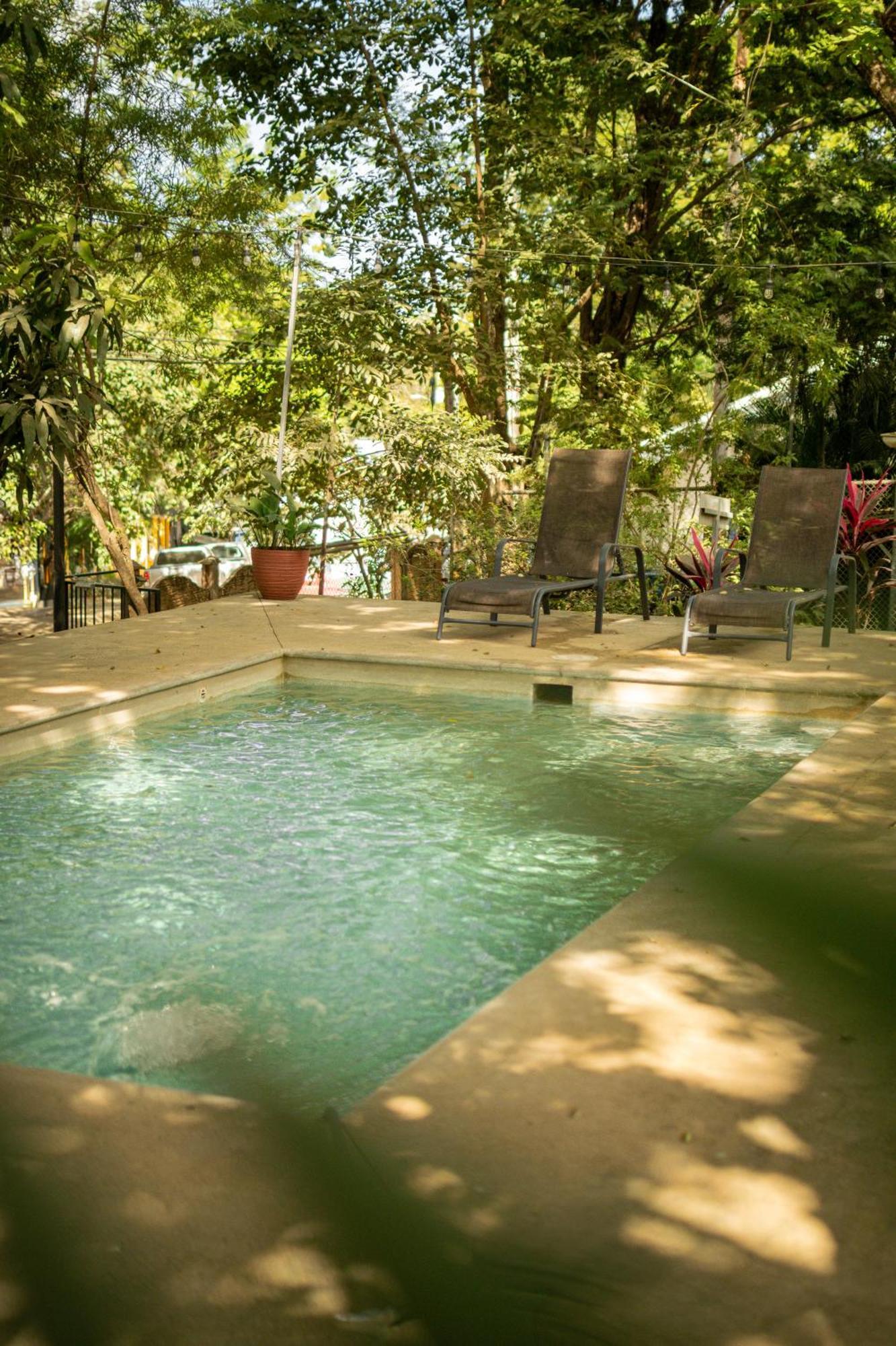 Casa Pura Vida Surf Hostel - Tamarindo Costa Rica エクステリア 写真